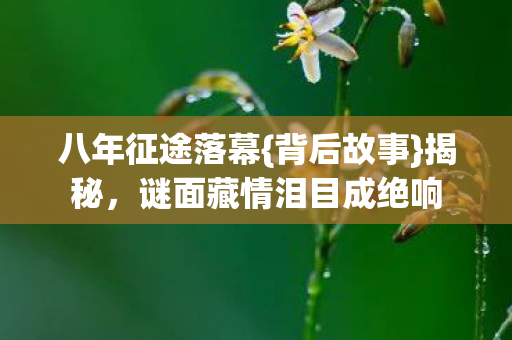 谜面藏情泪目成绝响图片