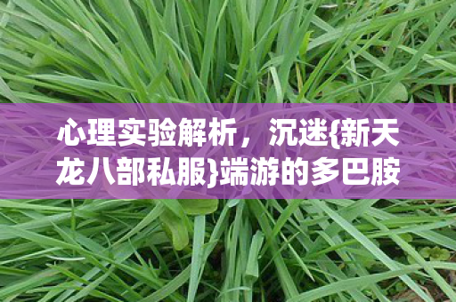 端游的多巴胺陷阱图片