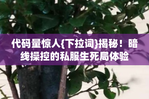 暗线操控的私服生死局体验图片