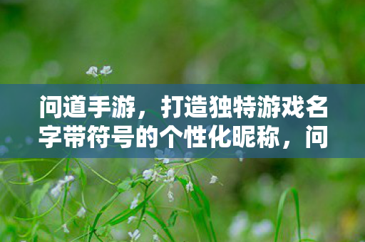 问道手游,打造独特游戏名字带符号的个性化昵称,问道手游,打造个性化昵称,让游戏名字带符号更独特! 问道手游,打造独特游戏名字带符号的个性化昵称,问道手游,打造个性化昵称,让游戏名字带符号更独特!