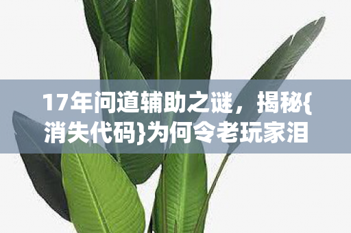 17年问道辅助之谜图片