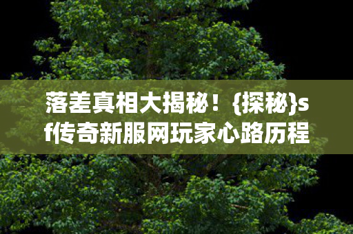 sf传奇新服网玩家心路历程图片