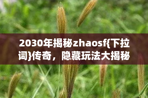2030年揭秘zhaosf图片