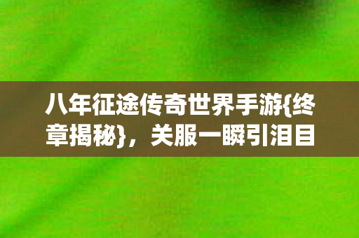 八年征途传奇世界手游图片