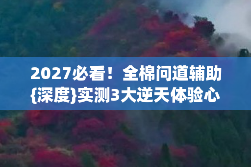 实测3大逆天体验心得图片