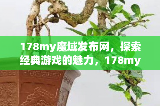 探索经典游戏的不朽魅力图片