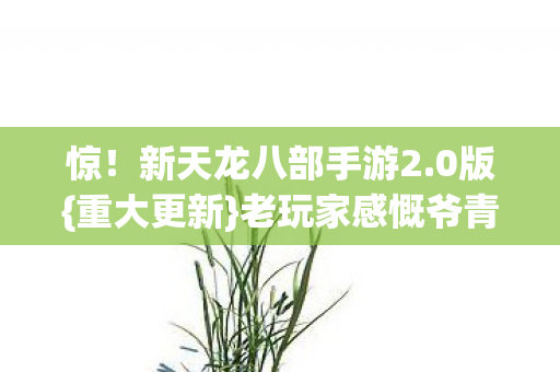 新天龙八部手游2图片