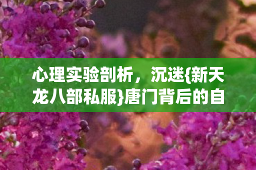 唐门背后的自我麻醉图片