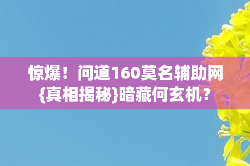 问道160莫名辅助网图片