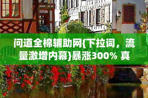 问道全棉辅助网图片