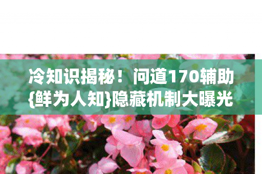 问道170辅助图片