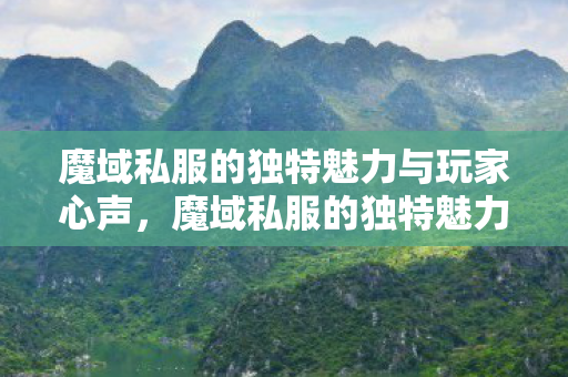 魔域私服的独特魅力与玩家心声图片