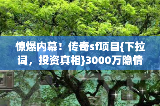 3000万隐情揭秘图片