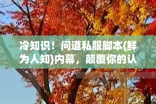 问道私服脚本图片