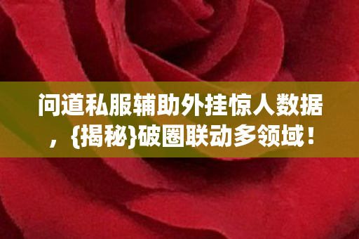 问道私服辅助外挂惊人数据图片