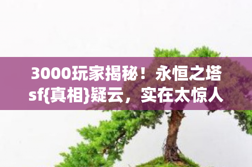 3000玩家揭秘图片