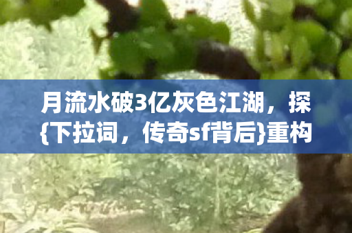 月流水破3亿灰色江湖图片