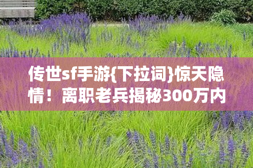 离职老兵揭秘300万内幕图片