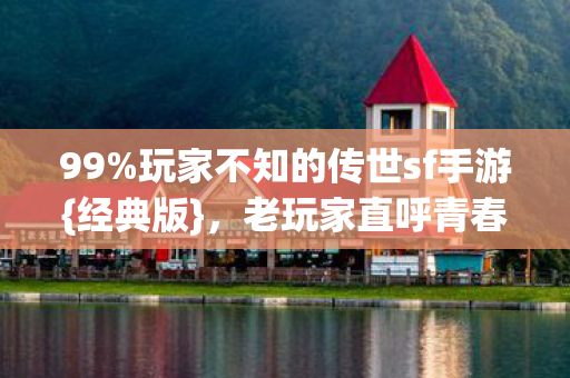 玩家不知的传世sf手游图片