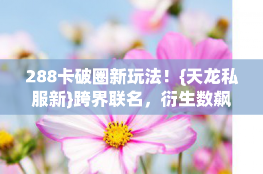 288卡破圈新玩法图片