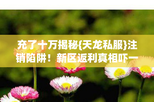 新区返利真相吓一跳图片