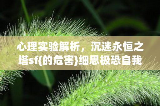 沉迷永恒之塔sf图片