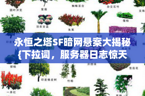 永恒之塔SF暗网悬案大揭秘图片