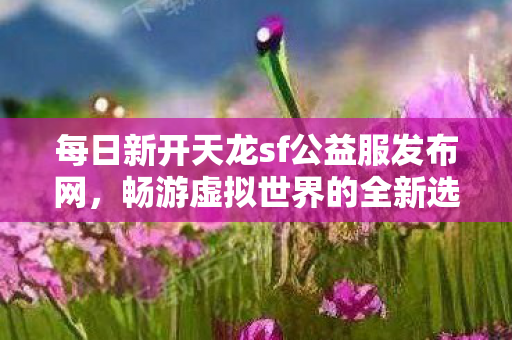 每日新开天龙sf公益服发布网图片