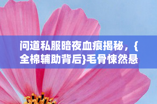 问道私服暗夜血痕揭秘图片