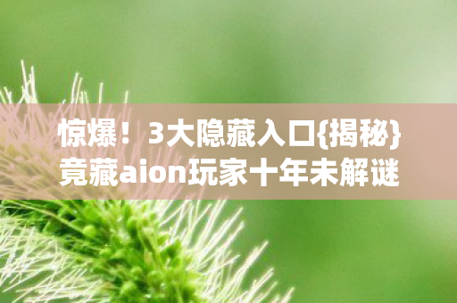 竟藏aion玩家十年未解谜团图片
