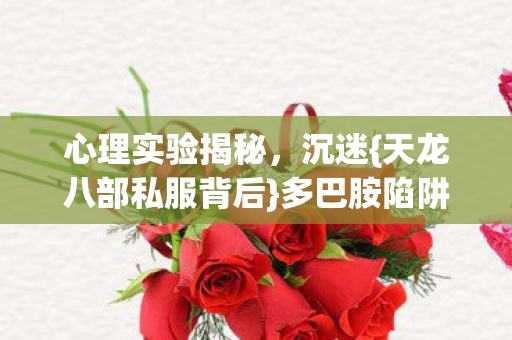 天龙八部私服背后图片