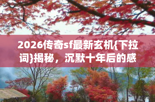 2026传奇sf最新玄机图片