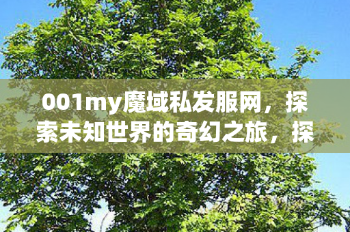 001my魔域私发服网图片