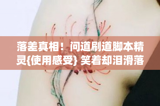 问道刷道脚本精灵图片