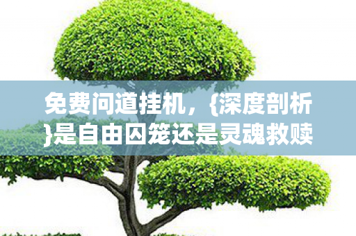 是自由囚笼还是灵魂救赎图片
