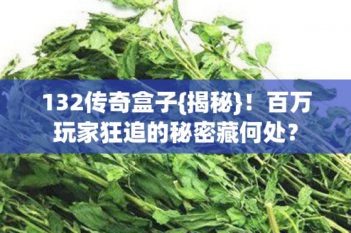 百万玩家狂追的秘密藏何处图片