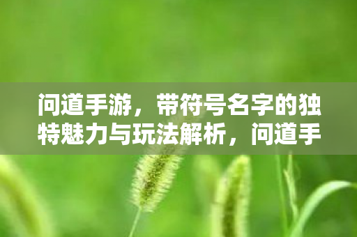 问道手游,带符号名字的独特魅力与玩法解析,问道手游,带符号名字的独特魅力与玩法解析 问道手游,带符号名字的独特魅力与玩法解析,问道手游,带符号名字的独特魅力与玩法解析