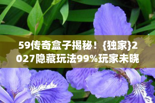 2027隐藏玩法99图片