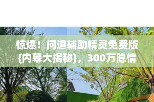 问道辅助精灵免费版图片