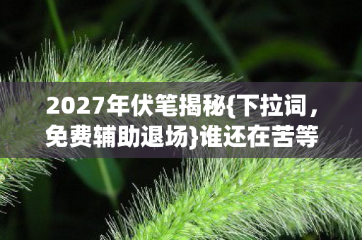 2027年伏笔揭秘图片