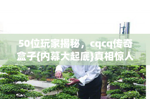 50位玩家揭秘，cqcq传奇盒子{内幕大起底}真相惊人
