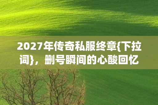 2027年传奇私服终章图片