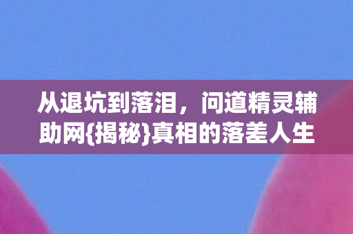 问道精灵辅助网图片