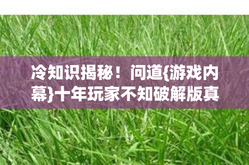 十年玩家不知破解版真相图片