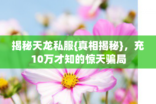 充10万才知的惊天骗局图片