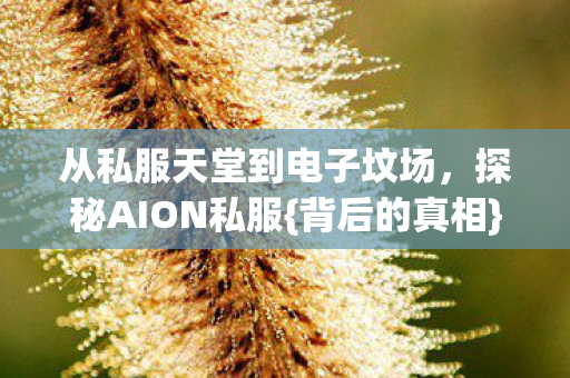 从私服天堂到电子坟场图片