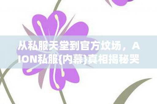 从私服天堂到官方坟场图片