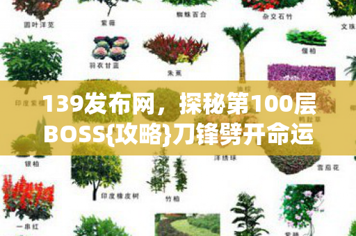 139发布网,探秘第100层BOSS{攻略}刀锋劈开命运悖论 139发布网,探秘第100层BOSS{攻略}刀锋劈开命运悖论