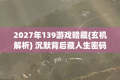 2027年139游戏暗藏{玄机解析} 沉默背后藏人生密码