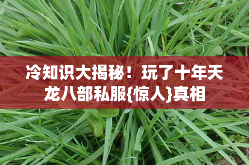 玩了十年天龙八部私服图片